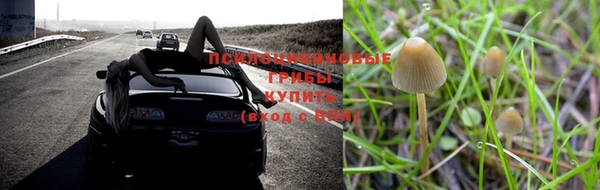 амф Алексин