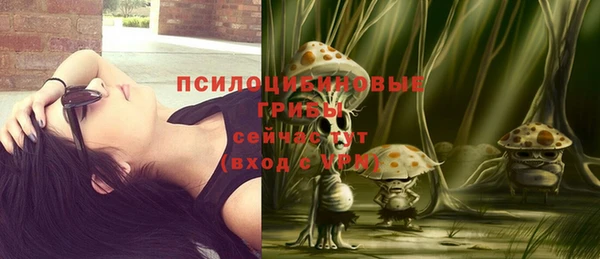 метадон Абаза