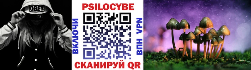 закладка  kraken рабочий сайт  Псилоцибиновые грибы мухоморы  Комсомольск-на-Амуре 